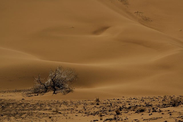 العراق وإيران وتركيا: 66 هزة أرضية في شهر واحد